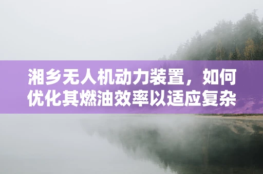 湘乡无人机动力装置，如何优化其燃油效率以适应复杂地形？