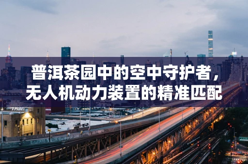 普洱茶园中的空中守护者，无人机动力装置的精准匹配与挑战