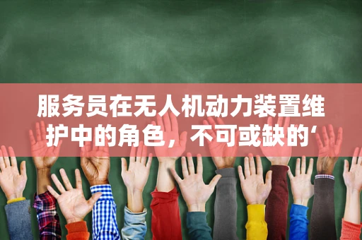 服务员在无人机动力装置维护中的角色，不可或缺的‘空中守护者’吗？