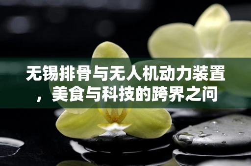 无锡排骨与无人机动力装置，美食与科技的跨界之问