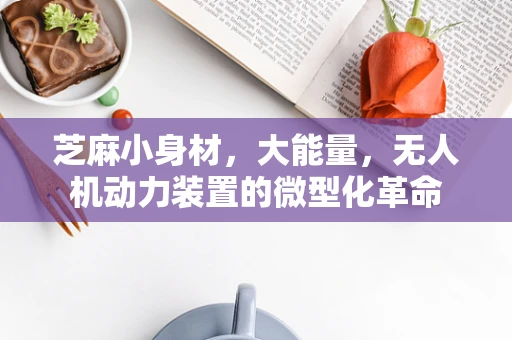 芝麻小身材，大能量，无人机动力装置的微型化革命