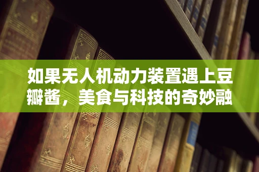 如果无人机动力装置遇上豆瓣酱，美食与科技的奇妙融合？