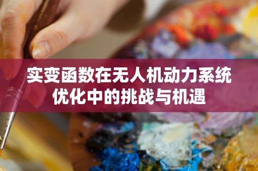 实变函数在无人机动力系统优化中的挑战与机遇