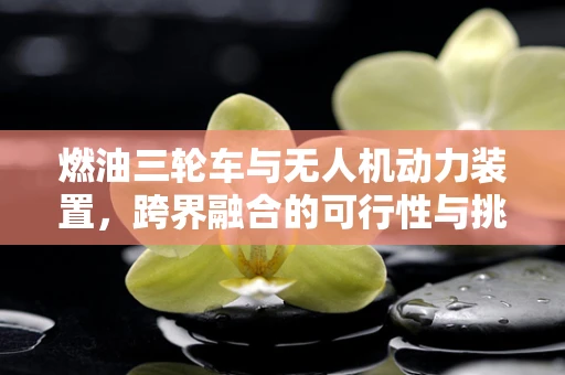 燃油三轮车与无人机动力装置，跨界融合的可行性与挑战