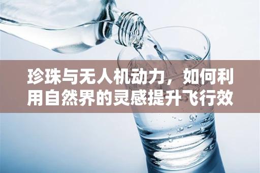 珍珠与无人机动力，如何利用自然界的灵感提升飞行效率？