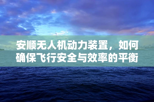 安顺无人机动力装置，如何确保飞行安全与效率的平衡？
