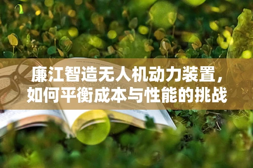 廉江智造无人机动力装置，如何平衡成本与性能的挑战？