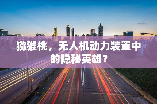 猕猴桃，无人机动力装置中的隐秘英雄？