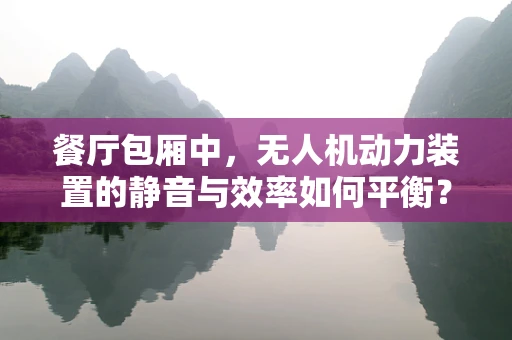 餐厅包厢中，无人机动力装置的静音与效率如何平衡？