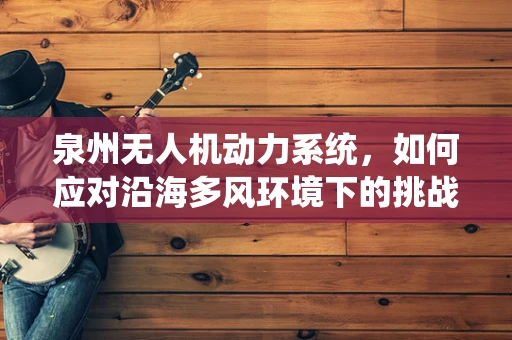 泉州无人机动力系统，如何应对沿海多风环境下的挑战？