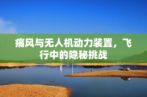 痛风与无人机动力装置，飞行中的隐秘挑战