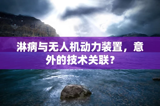 淋病与无人机动力装置，意外的技术关联？