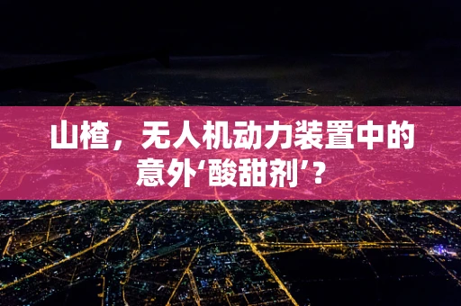 山楂，无人机动力装置中的意外‘酸甜剂’？