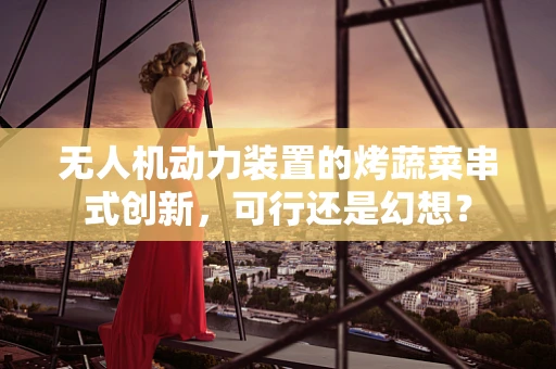 无人机动力装置的烤蔬菜串式创新，可行还是幻想？