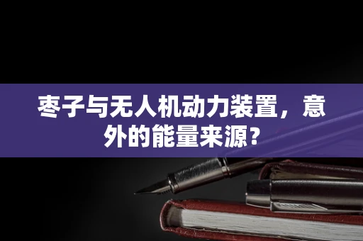 枣子与无人机动力装置，意外的能量来源？
