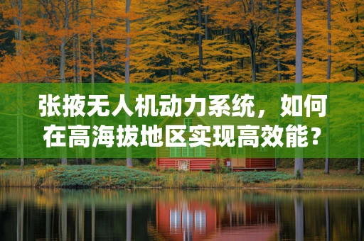 张掖无人机动力系统，如何在高海拔地区实现高效能？