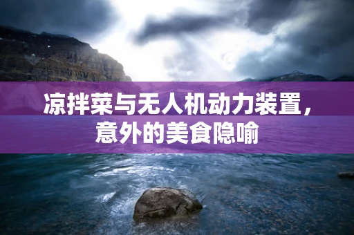 凉拌菜与无人机动力装置，意外的美食隐喻