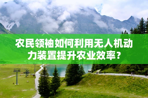农民领袖如何利用无人机动力装置提升农业效率？