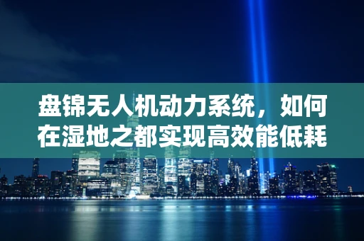 盘锦无人机动力系统，如何在湿地之都实现高效能低耗能飞行？