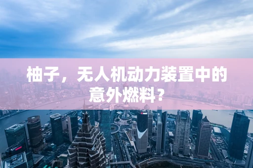 柚子，无人机动力装置中的意外燃料？
