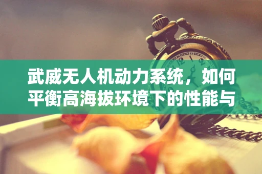 武威无人机动力系统，如何平衡高海拔环境下的性能与效率？