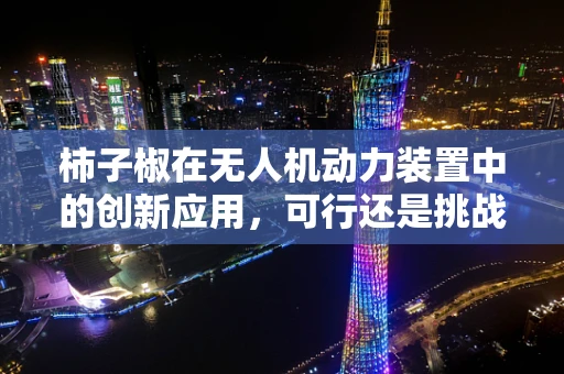 柿子椒在无人机动力装置中的创新应用，可行还是挑战？