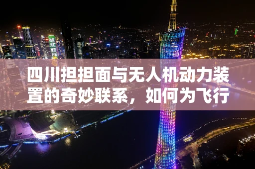 四川担担面与无人机动力装置的奇妙联系，如何为飞行美食注入持久动力？