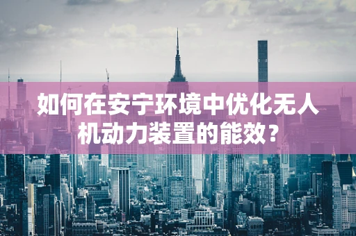 如何在安宁环境中优化无人机动力装置的能效？