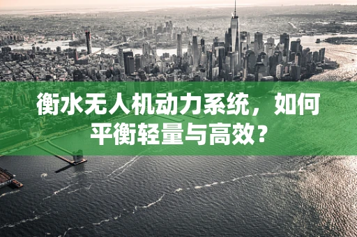 衡水无人机动力系统，如何平衡轻量与高效？
