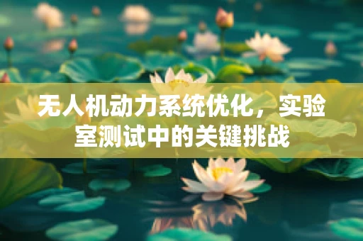 无人机动力系统优化，实验室测试中的关键挑战