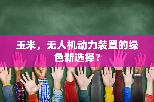 玉米，无人机动力装置的绿色新选择？