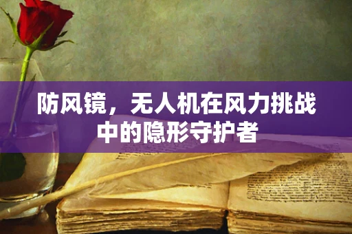 防风镜，无人机在风力挑战中的隐形守护者