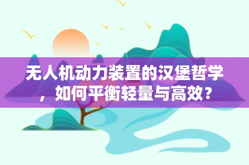 无人机动力装置的汉堡哲学，如何平衡轻量与高效？