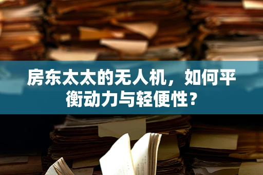 房东太太的无人机，如何平衡动力与轻便性？