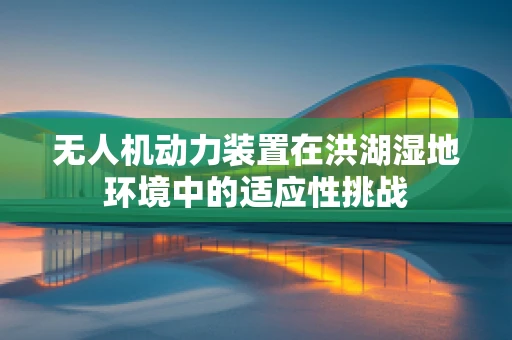 无人机动力装置在洪湖湿地环境中的适应性挑战