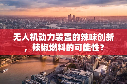 无人机动力装置的辣味创新，辣椒燃料的可能性？