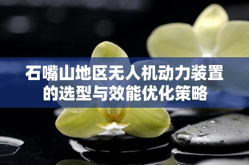 石嘴山地区无人机动力装置的选型与效能优化策略