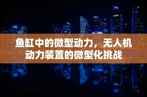 鱼缸中的微型动力，无人机动力装置的微型化挑战