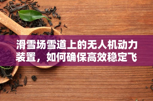 滑雪场雪道上的无人机动力装置，如何确保高效稳定飞行？