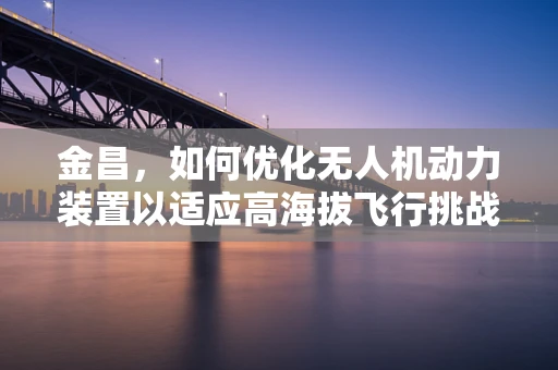 金昌，如何优化无人机动力装置以适应高海拔飞行挑战？