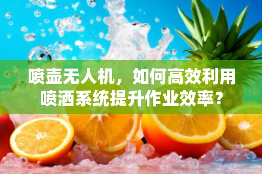 喷壶无人机，如何高效利用喷洒系统提升作业效率？