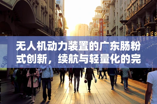无人机动力装置的广东肠粉式创新，续航与轻量化的完美平衡？