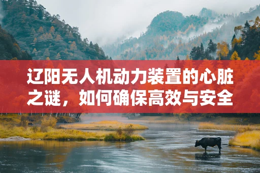 辽阳无人机动力装置的心脏之谜，如何确保高效与安全？
