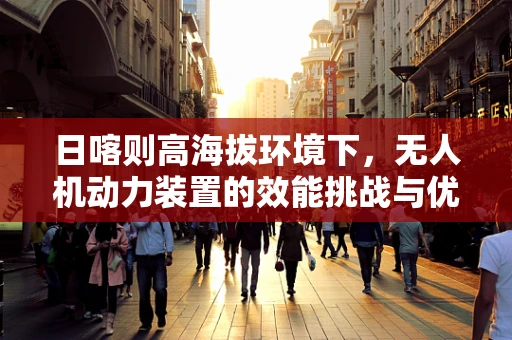 日喀则高海拔环境下，无人机动力装置的效能挑战与优化策略？