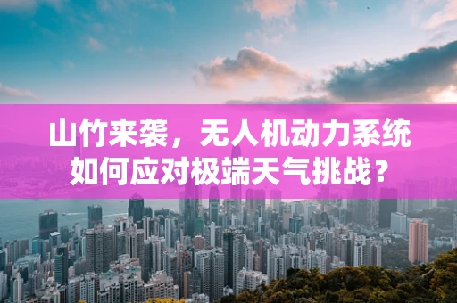 山竹来袭，无人机动力系统如何应对极端天气挑战？