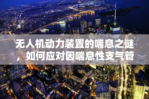 无人机动力装置的喘息之谜，如何应对因喘息性支气管炎引发的性能下降？
