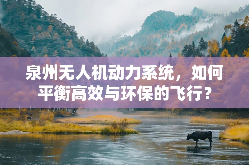 泉州无人机动力系统，如何平衡高效与环保的飞行？