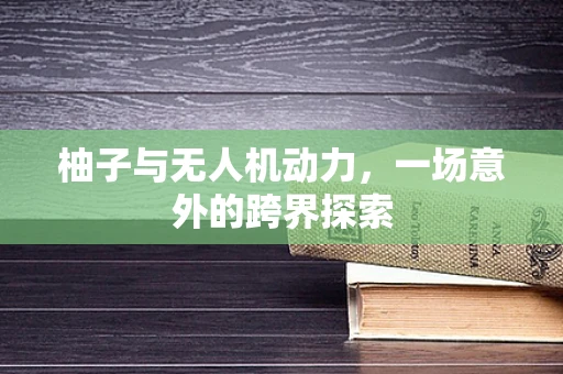 柚子与无人机动力，一场意外的跨界探索