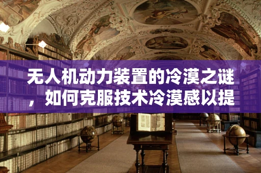 无人机动力装置的冷漠之谜，如何克服技术冷漠感以提升飞行体验？