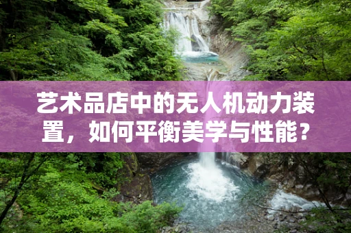 艺术品店中的无人机动力装置，如何平衡美学与性能？